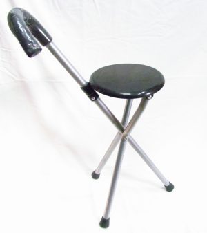 IGUANA - כסא מוזיאון