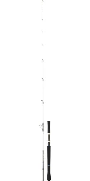 DAIWA SALTIST JIG
